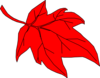 Red Leaf Autumn Clip Art
