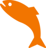 Orange Jumping Fish Clip Art