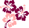 Hibiscus Clip Art