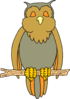 Cartoon Owl Clip Art