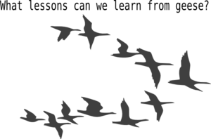 Birds In Flight Clip Art