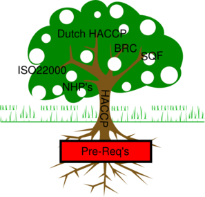 Tree With Fruits Clip Art