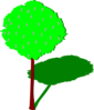 Tree With Shadow Clip Art