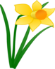 Daffodil 1 Clip Art