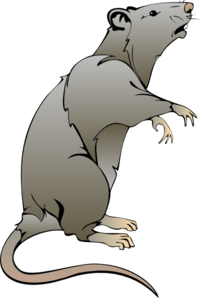 Rat Clip Art at Clker.com - vector clip art online, royalty free