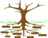 Tree Clip Art