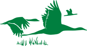 Green Geese Clip Art