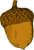 Acorn Clip Art