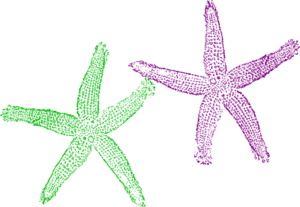 Starfish Green And Purple Clip Art