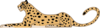 Leopard Clip Art