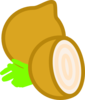Onion Clip Art