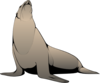 Seal Clip Art