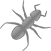 Gray Ant Clip Art