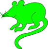 Green Rodent Clip Art
