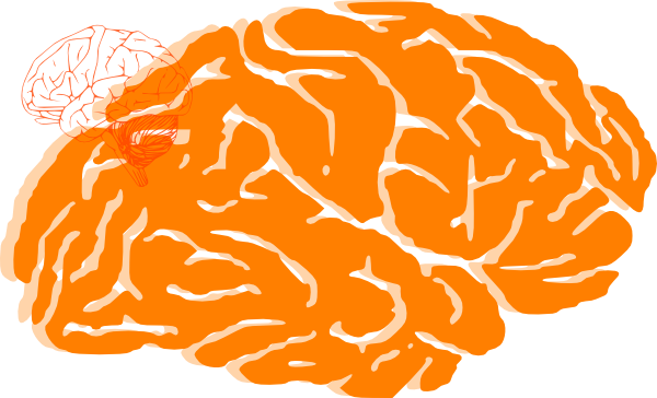 Orange Brain Clip Art at Clker.com - vector clip art online, royalty