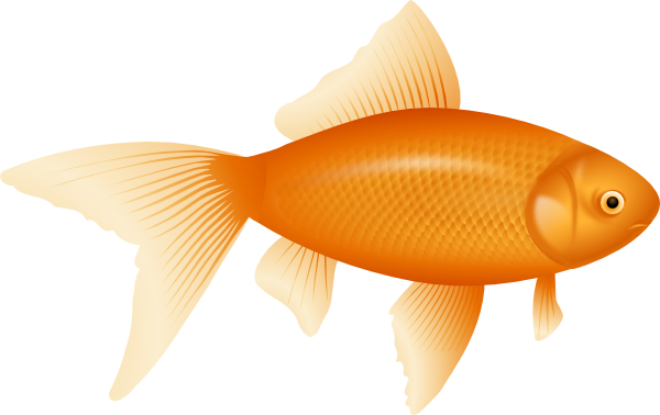 Goldfish Clip Art At Clker Com Vector Clip Art Online Royalty Free