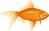 Goldfish Clip Art