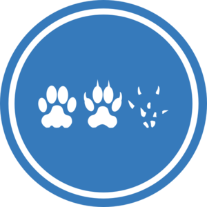 Paws With Circle Clip Art