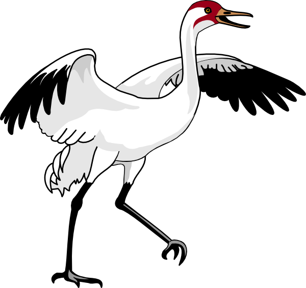 Swan 3 Clip Art at Clker.com - vector clip art online, royalty free