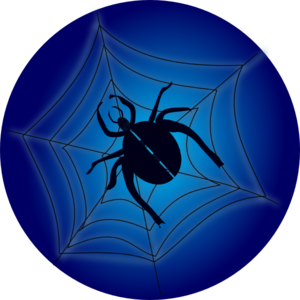 Spider On Web Clip Art