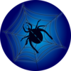 Spider On Web Clip Art