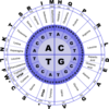 Genetic Code Clip Art