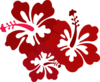 Hibiscus Clip Art