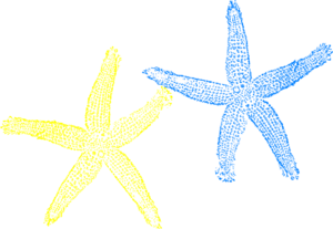 Blue And Yellow Starfish Clip Art