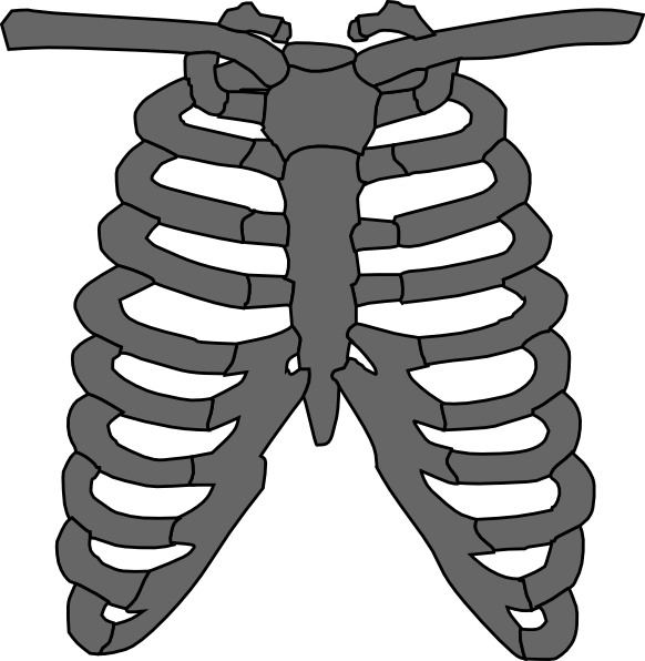 Skeleton Tattoo Edit Clip Art at Clker.com - vector clip art online