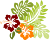 Hibiscus Clip Art