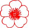Red Buttercup Flower Clip Art