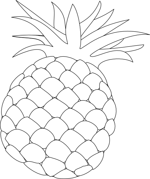 Pineapple Outline Clip Art at Clker.com - vector clip art ...
