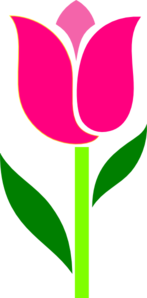 Pink Graphic Flower Clip Art