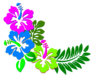 Hibiscus Corner Clip Art