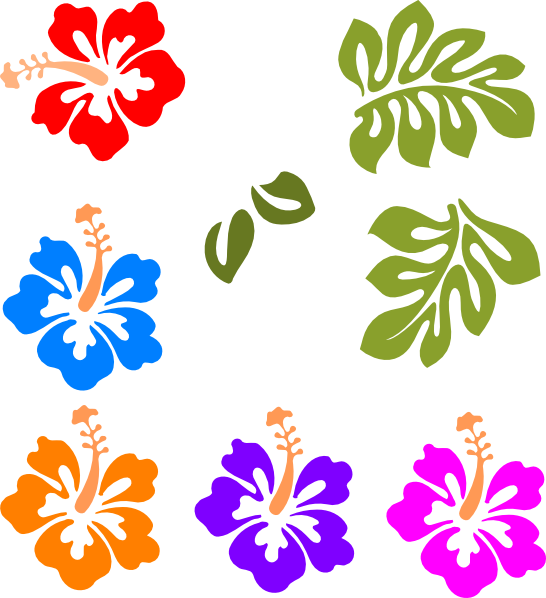 Download Hibiscus Trace Clip Art at Clker.com - vector clip art ...