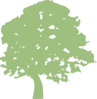 Oak Tree Clip Art