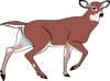 Deer Clip Art