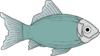 Aqua Fish Clip Art