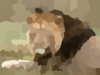 African Lion Tanzania Afria Desktop Picture Clip Art