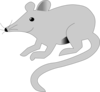 Mouse Clip Art