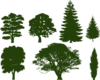 Green Tree Silhouettes 2 Clip Art