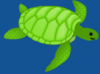 Sea Turtle Clip Art