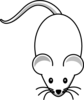 White Lab Mouse Clip Art