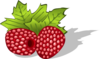 Raspberries Clip Art