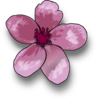 Blossom Clip Art