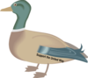 Kelly R Duck  Clip Art