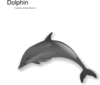 Delfin Clip Art