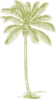 Palm Tree Silhouette Yellow-green Clip Art