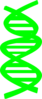 Dna Clip Art