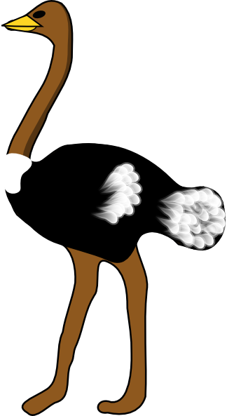 ostrich picture artclip ostrich picture artclip